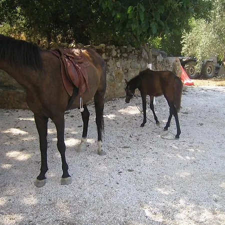Ellinospito Appartamento *